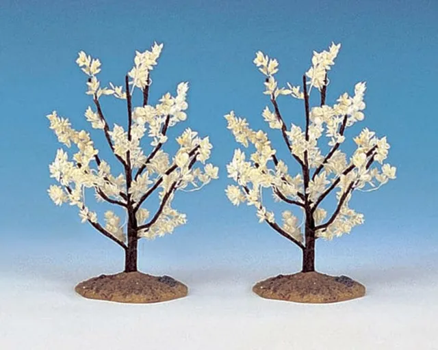lemax-flowering-magnolia-small-miniature-arbre-en-fleurs image 1