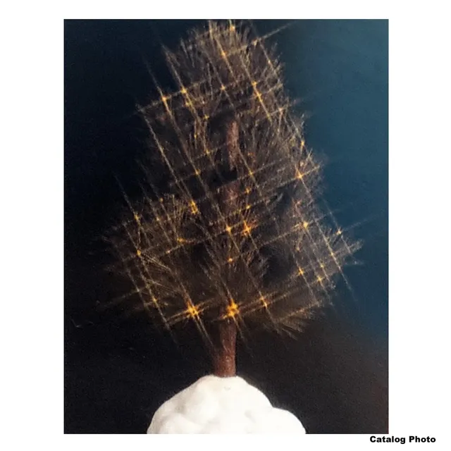 lemax-shimmering-pine-6-inch-clear-sapin-miniature image 1