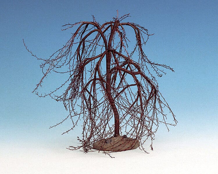 lemax-winter-willow-medium-arbre-d-hiver-miniature-spooky-town image 2