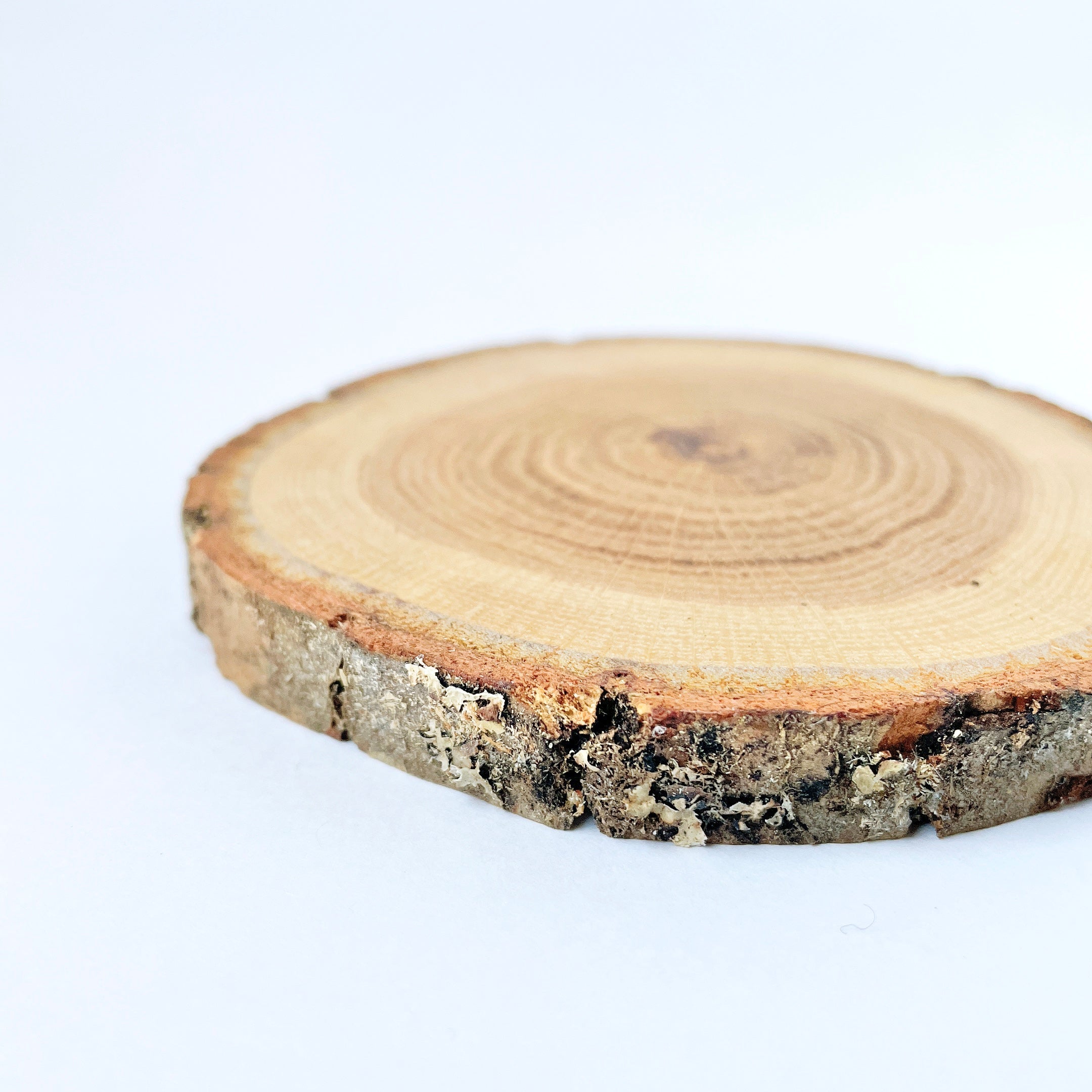 usaburo-kokeshi-socle-rond-ch-ne-100-mm image 1