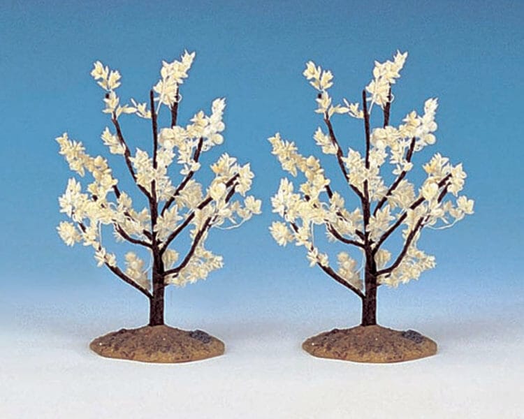 lemax-flowering-magnolia-small-miniature-arbre-en-fleurs image 1